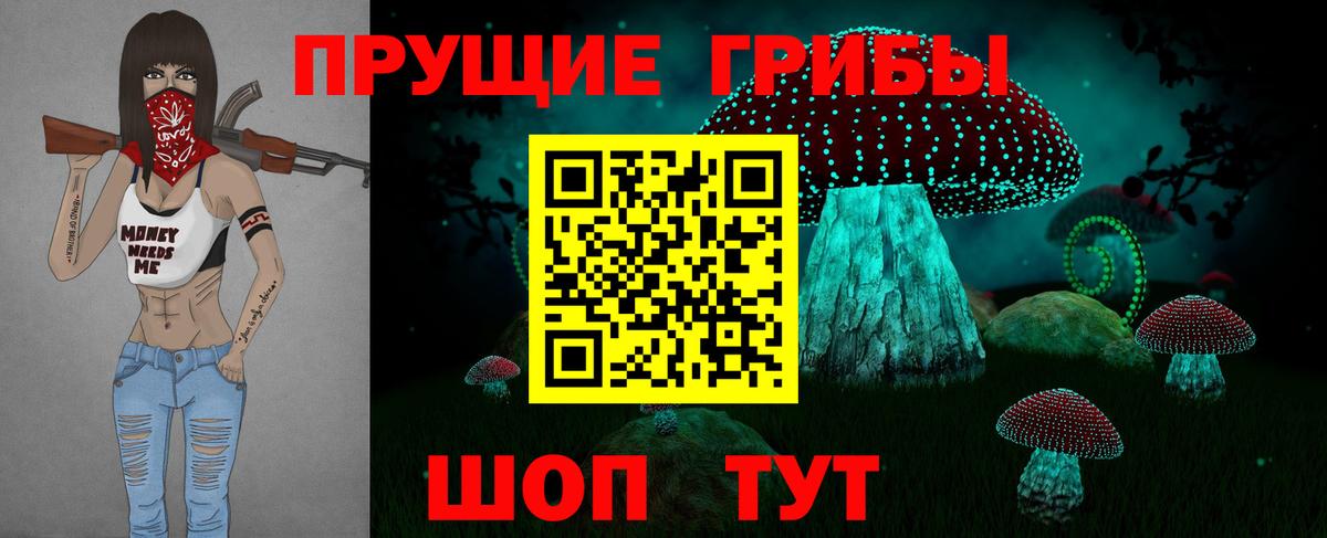 Псилоцибиновые грибы MAGIC MUSHROOMS Чернушка
