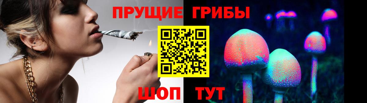 Чернушка  Псилоцибиновые грибы Magic Shrooms  Вход с VPN 